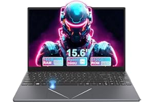 DREAMFYRE Ordinateur Portable 15,6" Pouces Laptop,16go de RAM,512go de SSD,AMD Ryzen 5 3500U 4-Core PC Portable,IPS 1980x1080,Suitable for Daily Office,Study,Gaming,Inclus Une Port réseau,Clavier à Membrane.