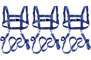 CHCAES 3 Stück Pferdeleine zum Spielen für Kinder Blau Pferdegeschirr für Kinder Pferdeleine für Mädchen und Jungen