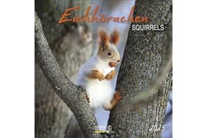 Eichhörnchen 2025: Broschürenkalender mit Ferienterminen. Format: 30 x 30 cm