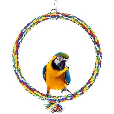 Altalena AD Arco Trixie Per Pappagalli - In Legno Naturale, 160g - Foto 6