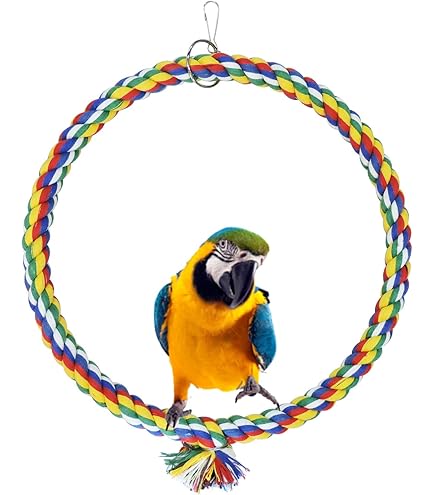 Amaca Per Pappagalli Morbida E Appesa - Altalena Nido In Rete Per Parrocchetti, Conures E Cocorite - Foto 7