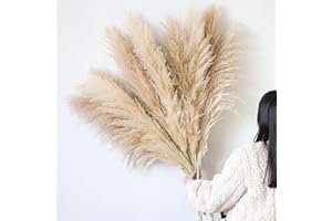 SONGJUM 12 Piezas Decoración Natural de Pampas Hierba Alta y Esponjosa de Pampas Fiesta de Bodas Decoración Natural del Hogar Bohemio de la Granja Pompeya (Color Natural)