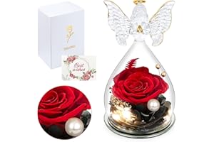Ninonly Rosa Stabilizzata a Cupola con Angelo Rosa Eterna Regalo per Donna Moglie Fidanzata Mamma Idea Regalo Compleanno Natale Festa della Mamma & San Valentino