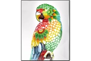 CRAFTiDA Quilling Paper Quilling Kits for Adults Paper Filigree Kit with Paper Quilling Tools and EVA Pattern Board DIY Handmade 40x50cm (Parrot)