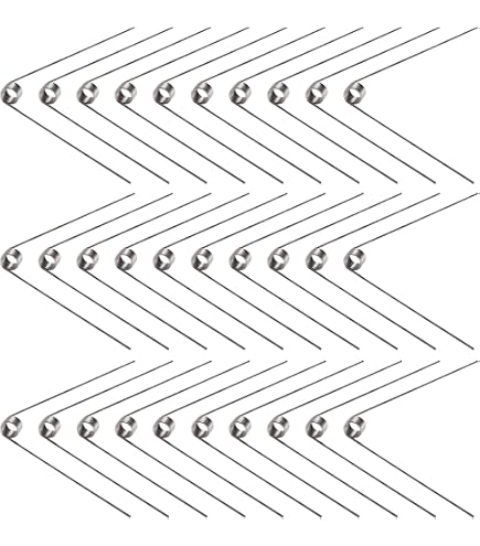10 Ressorts De Torsion Tambour Moulinet Pêche – Acier Inoxydable, Taille 1.0x8x9 Mm
