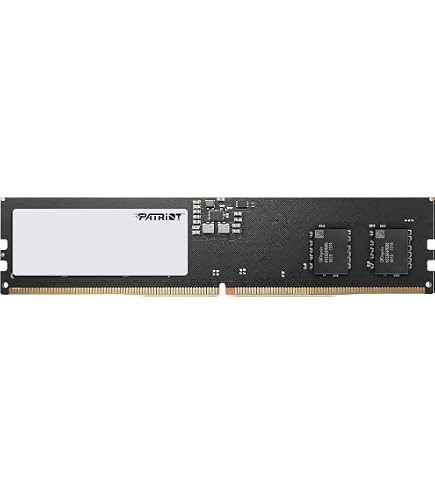 SK Hynix 8GB (1x8GB) DDR5 5600MHz (o 4800MHz PC5-38400) RAM para