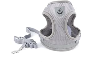 Zunea Harnais pour Chien pour Petit Chien Chat sans Tirer Harnais Ajustable en Maille Filet Souple rembourré Vest Harnais Laisse avec Ensemble de Bande réfléchissante Chiots Laisse pour Chien