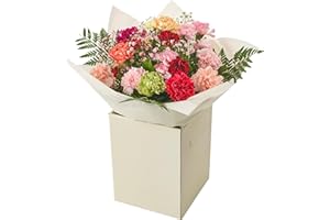 MORNING FLOWERS Simple Beauty Bouquet Fresh Flowers - Carnation Autumn Arrangement celebrating Birthdays, Get-Well, Anniversary, Thoughtful Gifting, Floral occasions, Long-Lasting Blooms