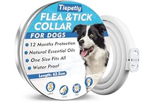 TIEPETLY Collare Antiparassitario per Cani Regolabile 63.5cm, Elimina Pulci e Zecche, Olio Essenziale 100% Naturale, Impermeabile (A2)