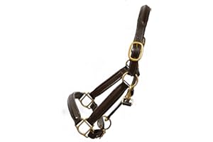 Pets2Care LEATHER HORSE HEAD COLLAR FULLY RAISED AND PADDED BROWN COLOR BRASS FITTING SIZE COB