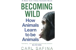 Becoming Wild: How Animals Learn to be Animals