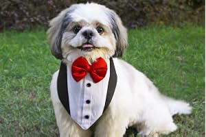 For The Fur Kids cotton Tuxedo Bandana for Dogs & Cats for Birthday, Wedding & Party Trendy and Comfortable Pet Apparel (Small - Medium), Black and White, 1 Count