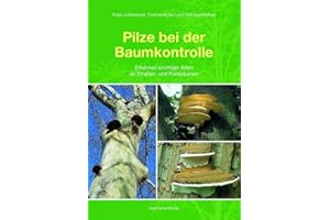 Pilze bei der Baumkontrolle: Erkennen wichtiger Arten an Straßen- und Parkbäumen