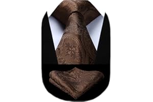 HISDERN Paisley Floral Corbatas de Hombre Modernas Corbata y Pañuelo de Bolsillo a Juego Clasica para Boda Fiesta Business