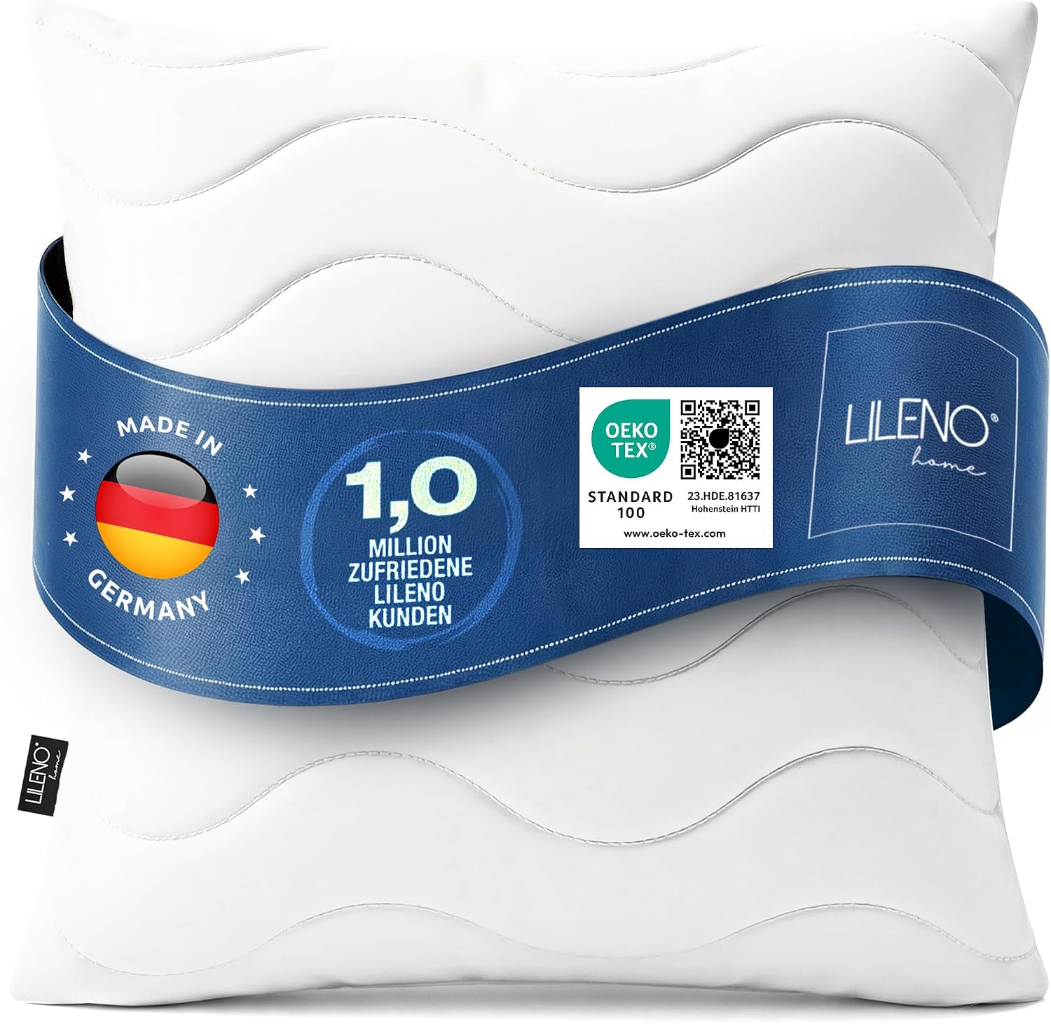 Vue 10