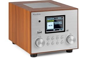 Audizio Vieste - Radio digitale DAB con Bluetooth, subwoofer integrato 60W, DAB+, riproduzione MP3 USB, ampio display TFT a colori, FM, allarme, telecomando, design moderno color argento