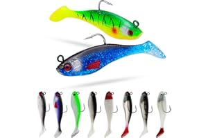 DBUWQIPS 10 Pezzi Esche Artificiali Spinning Artificiali Spinning Mare Pesca Accessori Pesca Spinning Attrezzatura da Pesca Pesca Trota Spoon Trout Area Accessori Pesca per Pesci di Acqua Dolce e Salata