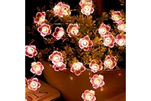 Wishstar Łańcuch świetlny z 20 diodami LED, różowy, kwiat wiśni, łańcuch świetlny do wnętrz, ogrodu, na drzewa, taras