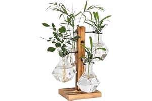 PAG-Mass Plant Terrariums Kit Desktop Hydroponics Air Planter Holder with 4 Diamond Glass Vase,Propagation Stations Terrarium For Water Plants Home Garden Office Decoration Accessories