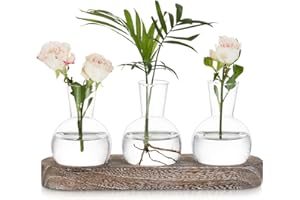 Hewory Terrarium Plant Propagation Station: Desktop Glass Terrarium Hyacinth Bulb Vase with Vintage Wood Tray, Avocado Vase Hydroponics Propagators for Plants, Small Glass Vase for Plant Gifts, 3pcs