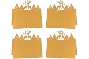 iKesoce 30 Pezzi Cartellini Segnaposto da Tavolo Biglietti Segnaposto per Natale Biglietti da Tavolo per Matrimonio Comunione Battesimo Festa Compleanno, Oro