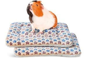 AsyinXson 2 Stück Kleintierbett, Plüschbett für Kleine Tiere, Winter Warm Flauschige Flanell Fleecedecke Bettmatte für Kätzchen, Kaninchen, Chinchilla, Eichhörnchen, Meerschweinchen 35×27cm