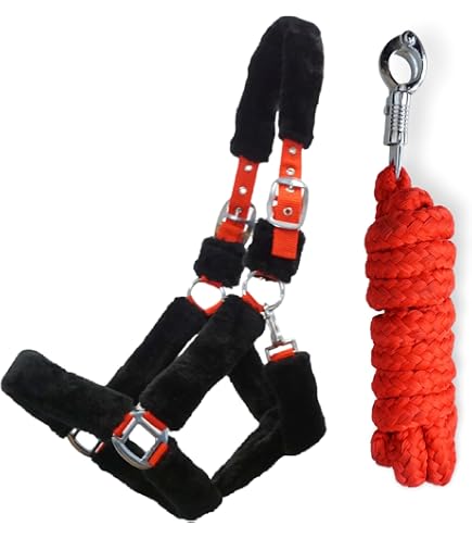 QHP Set Cavezza Beginner II + Maglia Di Guida Con Gancio Panico - Pony, Colore Sky, Regolabile - 3