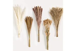 GIYIM Dried Pampas Grass - 120 PCS Dried Flowers Bouquet, Fluffy Bunny Tails, Reed Grass Bouquet, Natural White Pampas for Wedding, Room, Table, Boho Home Decor Decorations