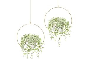 MKONO Mkouo Boho Plantas Colgantes, Juego de 2 Perchas Redondas de Metal para Plantas con Maceta de plástico, Maceta Moderna para Paredes y techos. Adecuado para macetas de 15 cm, Oro (macetas Incluidas)