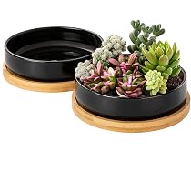 Juego De 6 Macetas De Cerámica Para Suculentas Y Cactus - 7.5x7.5 Cm, Con Bandeja De Bambú - Ideales Para Decoración De Hogar U Oficina