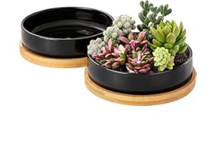 Yangbaga 2 Macetas de Ceramica para Suculentas Ronda Plantador de Cactus de Flores con Bandeja de Bambú Negro