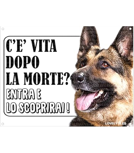 MEDAGLIETTA INCISA SERIE FRIENDS - TARGHETTA CANE PASTORE TEDESCO - Agrizoo Store - Foto 6