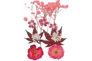 QianFenShi 12 Stück Natürliche Trockenblumen,Gepresste Blumen zum Basteln,Getrocknete Blumen,Getrocknete Blüten,Gepresste Blüten,Blumen Getrocknet,für Kunst Basteln,DIY,Scrapbooking (Roter Stil)