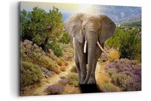 Wandbilder Dekoration Wohnzimmer Tiere Afrika Elefanten Spaziergang Bilder auf Leinwand 120x80cm Leinwandbild Schlafzimmer Deko Wand Kunstdruck Art Groß XXL Wanddeko Bild Decor Canvas AA120x80-2708