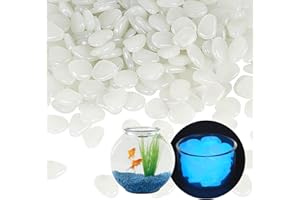 AUCANNIO Mini Glowing in the Dark Pebbles, 200 PCS White Micro Landscape Decorative Glow Rock Stones for Fish Tank, Luminous Cobblestones Powered by Light or Solar for Flower Pot Bed Succulents Plant Pots
