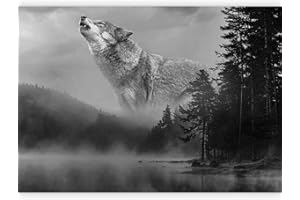 murando - Carta da Parati Adesiva Foresta 343x256 cm Fotomurali Adesivi Murali Rivestimento Parete Moderna Lupo Nero Bianco