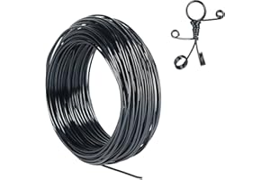 Tenn Well Basteldrah 2mm, 31M Dicker Draht Biegsamer Draht zum Basteln Schmuckherstellung Bindedraht Modellierdraht DIY-Skulpturen, Bonsai-Bäume (Schwarz)