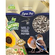 Lyra Pet Cacahuètes Splits Pour Oiseaux Sauvages - 25 Kg Mélangées, Blanchies & Avec Peau - Nourriture Énergétique