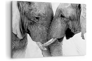 ARTTOR Lienzos decorativos 100x70cm Cuadro Sobre Lienzo Moderno Elefantes Safari Bond Grande Dormitorio Cocina Cuadros Pared Imágenes Cuadros Decoracion Salon Wall Art Prints Decor Canvas AA100x70-4973