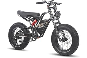 Fafrees F20 Ultra Bici Elettrica E-Bike, Batteria 48V 25Ah, Città Elettrici da 20"* 5.0 Pollici, Motore Fatbike, Autonomia Mountain Bike Fino a 80-140 km