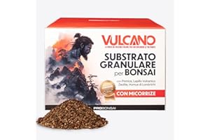 Probonsai Vulcano - Substrato Granulare per Bonsai | 5L | Drenaggio Perfetto e Radici Sane | Terriccio con Pomice, Lapillo, Zeolite, Humus e Micorrize | Pronto all'Uso