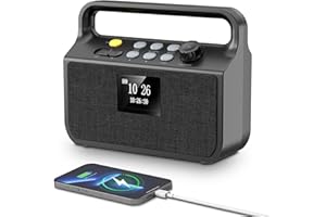 NEEMOSI Radio Bluetooth 20000mAh con Funzione di Carica Smartphone, DAB/FM con Scheda TF, Ingresso AUX, Schermo TFT, Funzione Sveglia, Radio Portatile D'emergenza per Campeggio e Outdoor