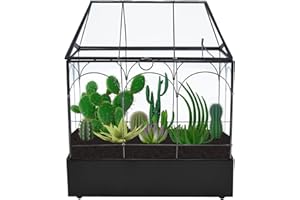 ‎HOMTONE Homtone 24cm Geometrische Terrarium Pflanzer mit Tablett, Haus Form Schwarz Handgemachte Glasbox, Vintage Tischplatte Miniatur Blumentopf für Sukkulent, Kakteen, Luft Pflanzen, Schwarz