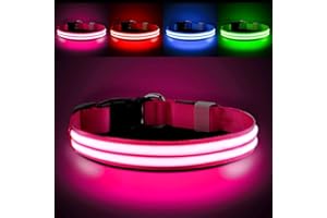 PcEoTllar Light Up Dog Collar - Rechargeable, Waterproof, Adjustable LED Collar for Night - Flashing, Glowing for Small Medium Large Dogs - Pink-M