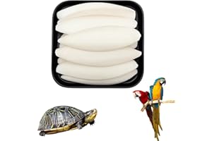 GYTFOG 12 Pieces Cuttlefish Bone for Birds and Tortoises, Natural Cuttlebone for Pets, Calcium Supplement for Beak and Shell Health, 4 Size Variations for Different Pet Needs