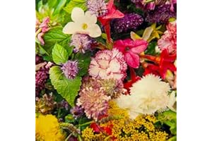 THE SEED SHED Fragrant Flowers Mixed Seeds – Quick & Easy to Sow – Attracts Bees & Butterflies – Creates a Wonderful Fragrant Garden