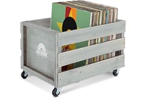 Stagecaptain SPK-100 GY Caja para discos "Emil" Gris