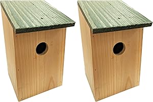 Quickdraw Nichoir en bois traditionnel à charnière Vert, naturel.