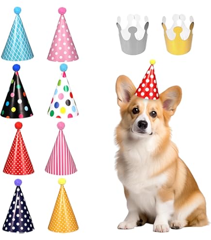 Lustige Partyhüte Für Kuscheltiere - Verstellbare Geburtstagsdekoration
