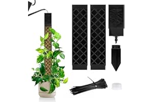 LangRay Tuteur Plantes Grimpantes, 2x25cm Tuteur Monstera pour Plantes d'intérieur, Tiges Auto-arrosant Bâton Extension en Plastique, Support pour Plantes Grimpantes Sphaigne Coco Jardin